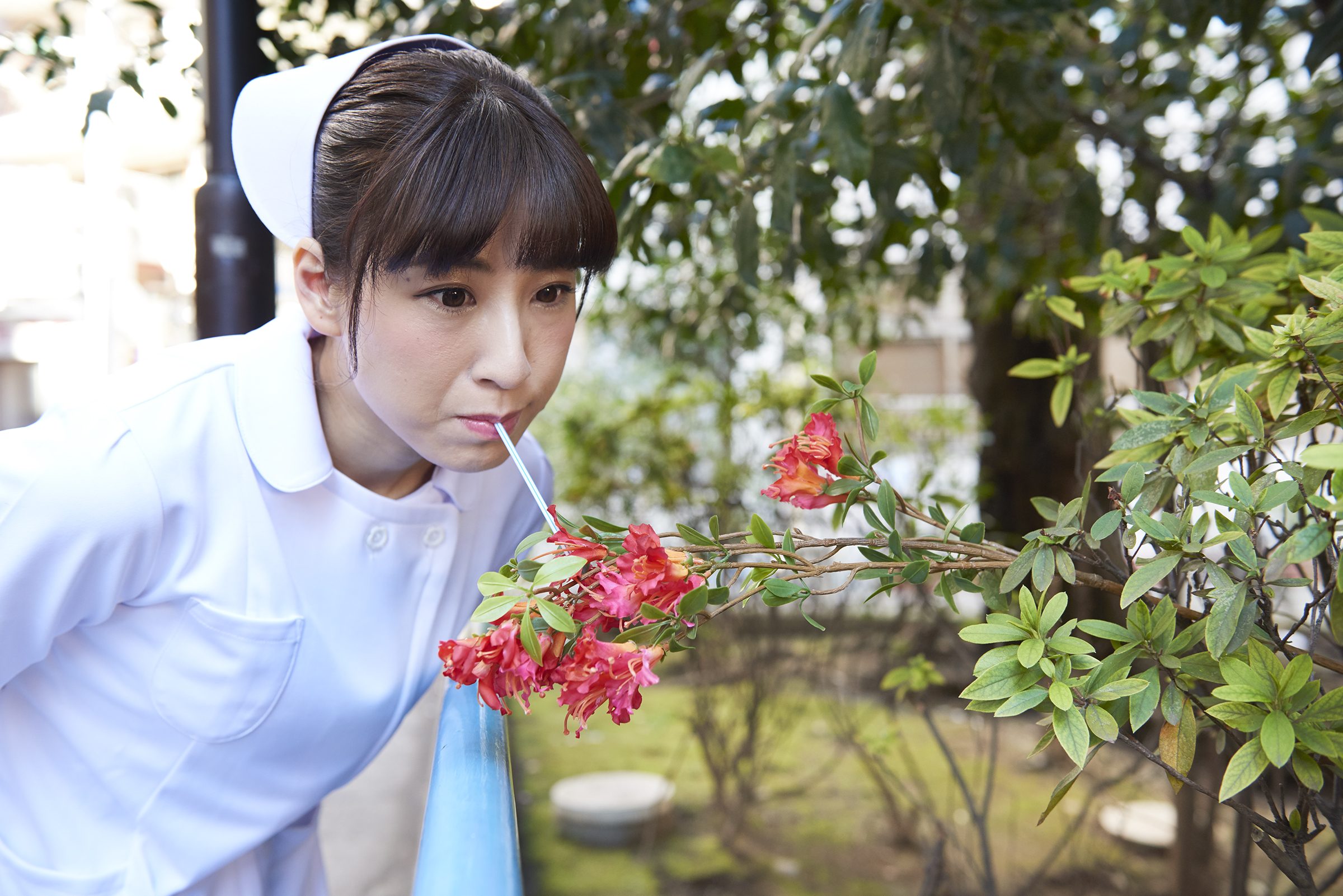 花の蜜を吸う看護師 看護師フリー写真素材サイト スキマナース